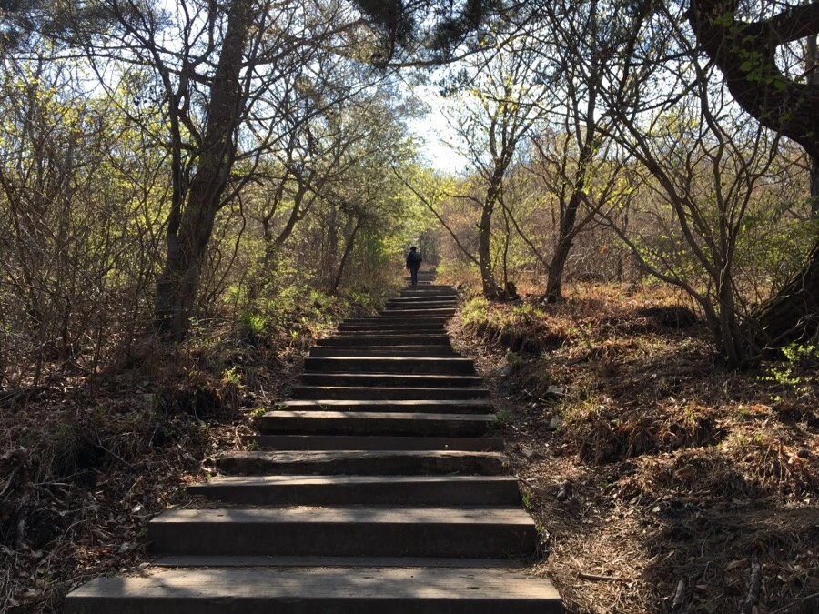 IMG_4202.jpg?type=w1