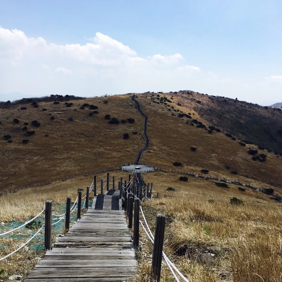 IMG_4531.jpg?type=w1