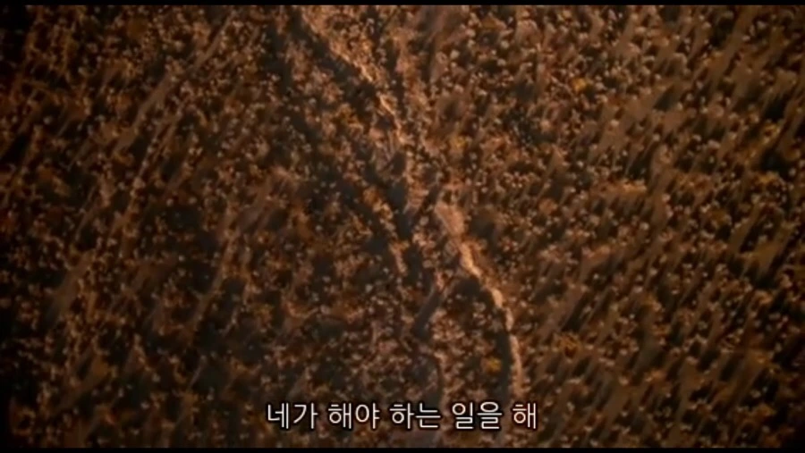 IMG_3481.jpg?type=w1