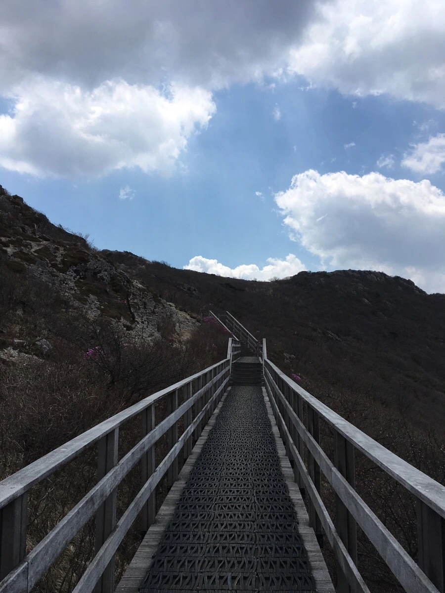 IMG_4491.jpg?type=w1