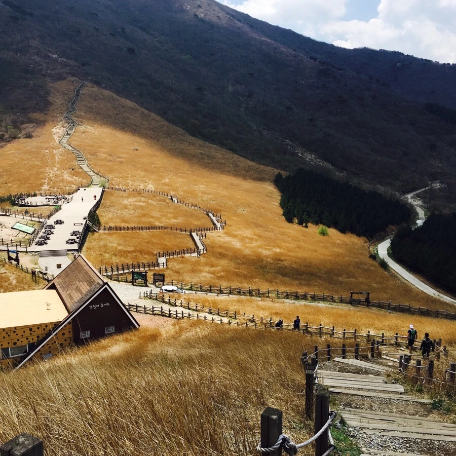 IMG_4394.jpg?type=w1