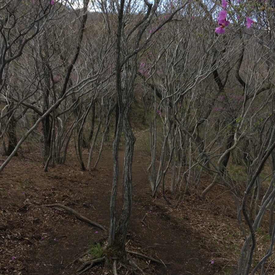 IMG_4220.jpg?type=w1