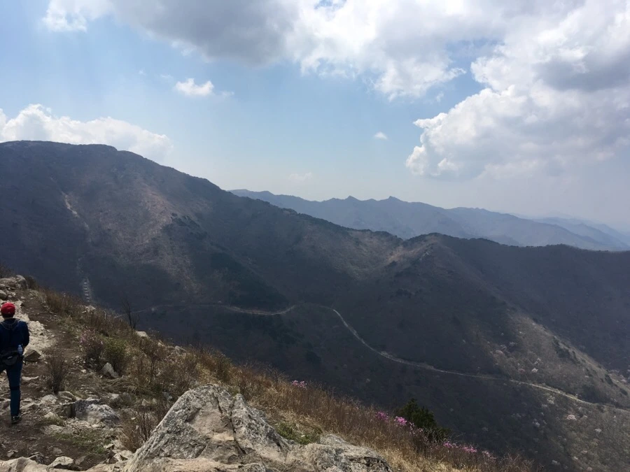 IMG_4234.jpg?type=w1