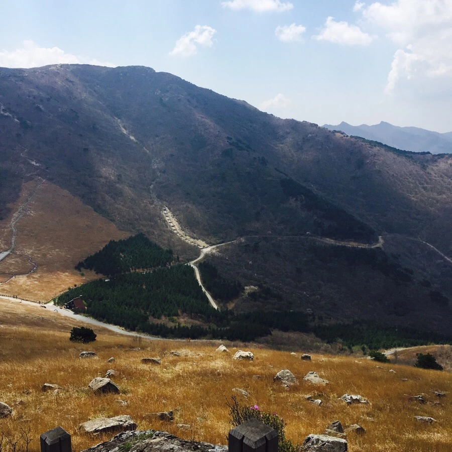 IMG_4348.jpg?type=w1