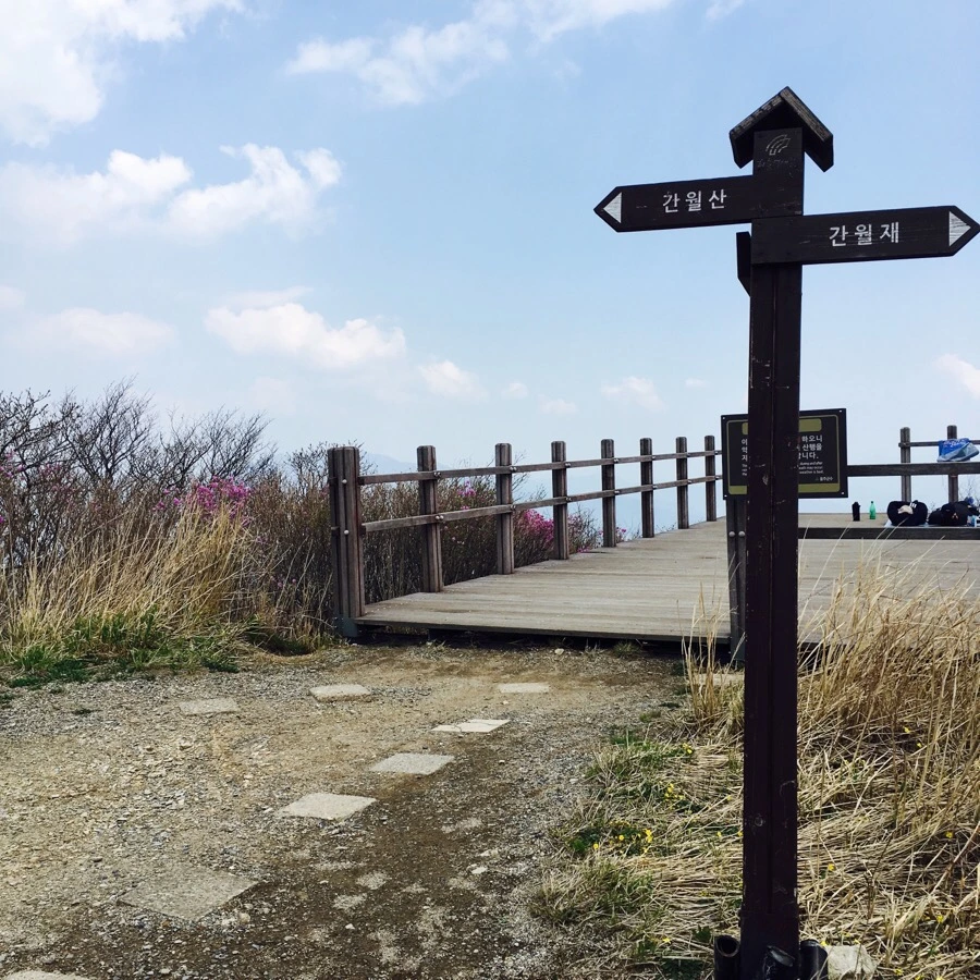 IMG_4354.jpg?type=w1