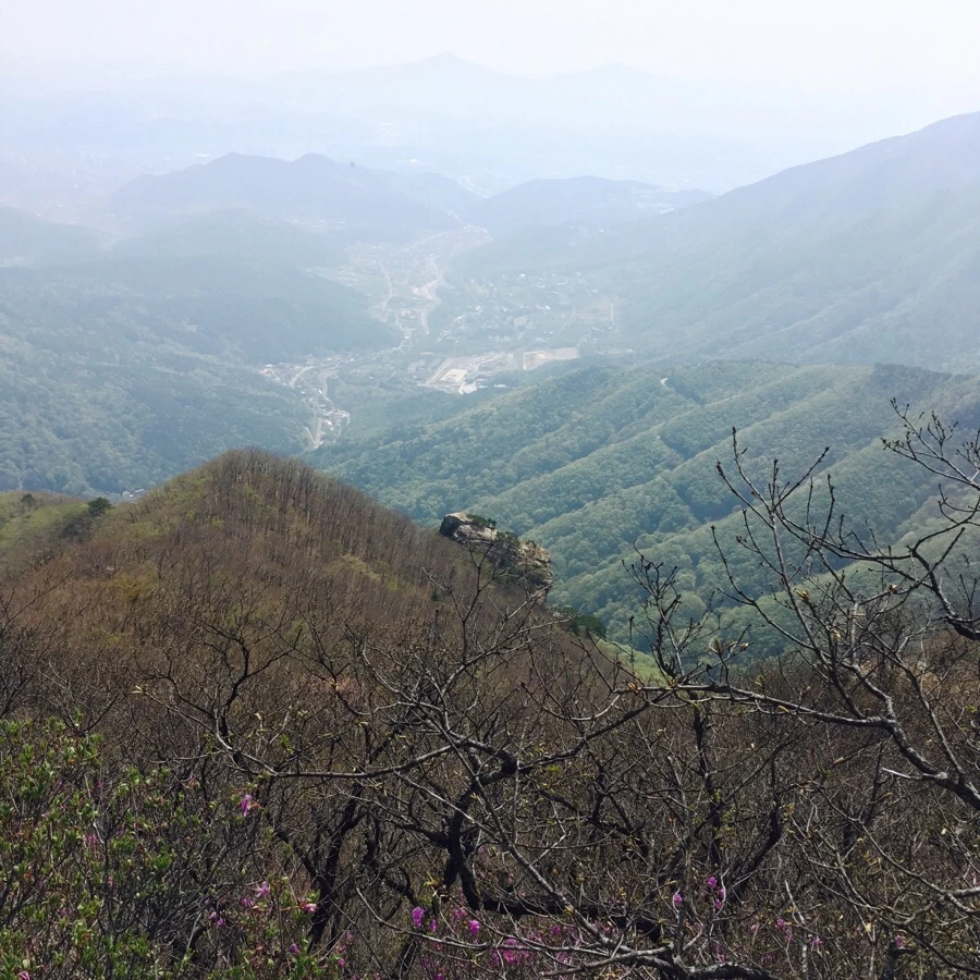 IMG_4212.jpg?type=w1