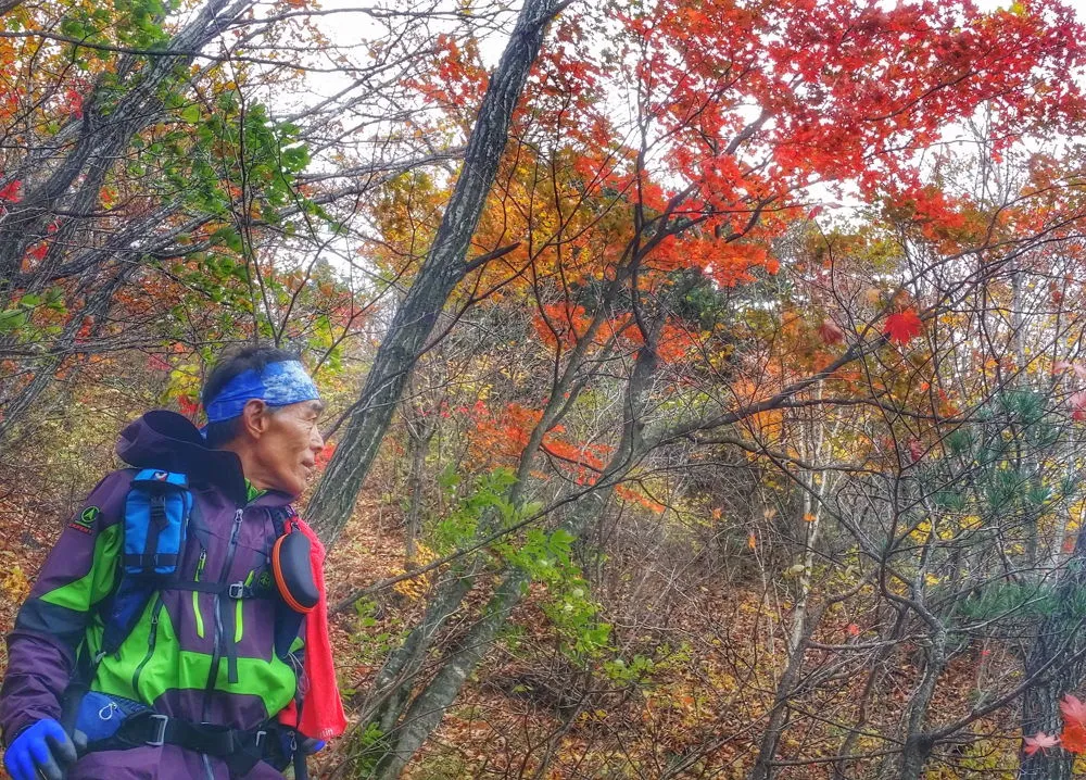 21585E3657FDEC3B343B68