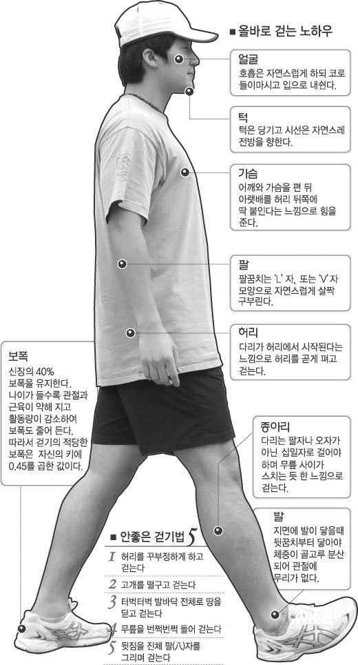 2351FD4C56C2CD28061BEA