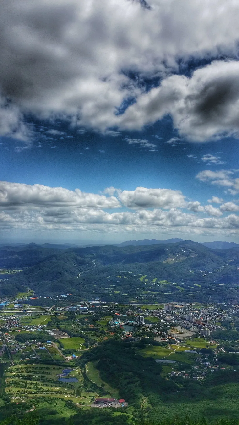 2711393357D019962D1993