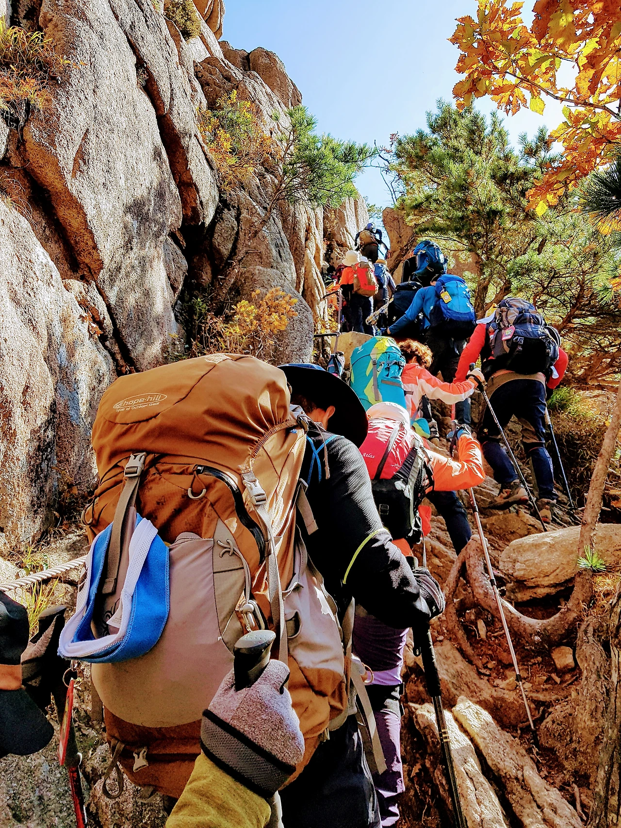 99B8863359E948AE03ABCB