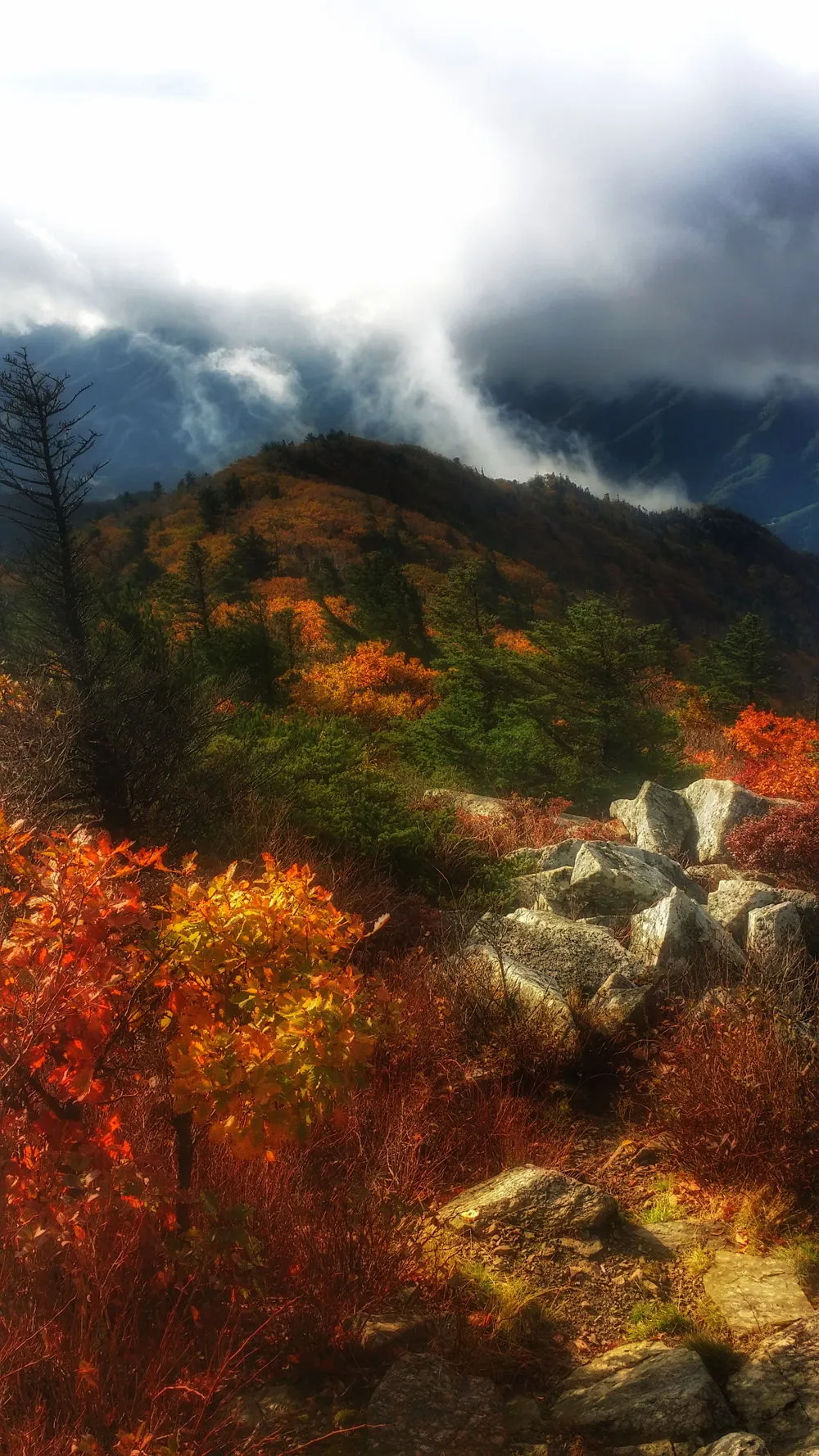 2530364957FD796737A6E3