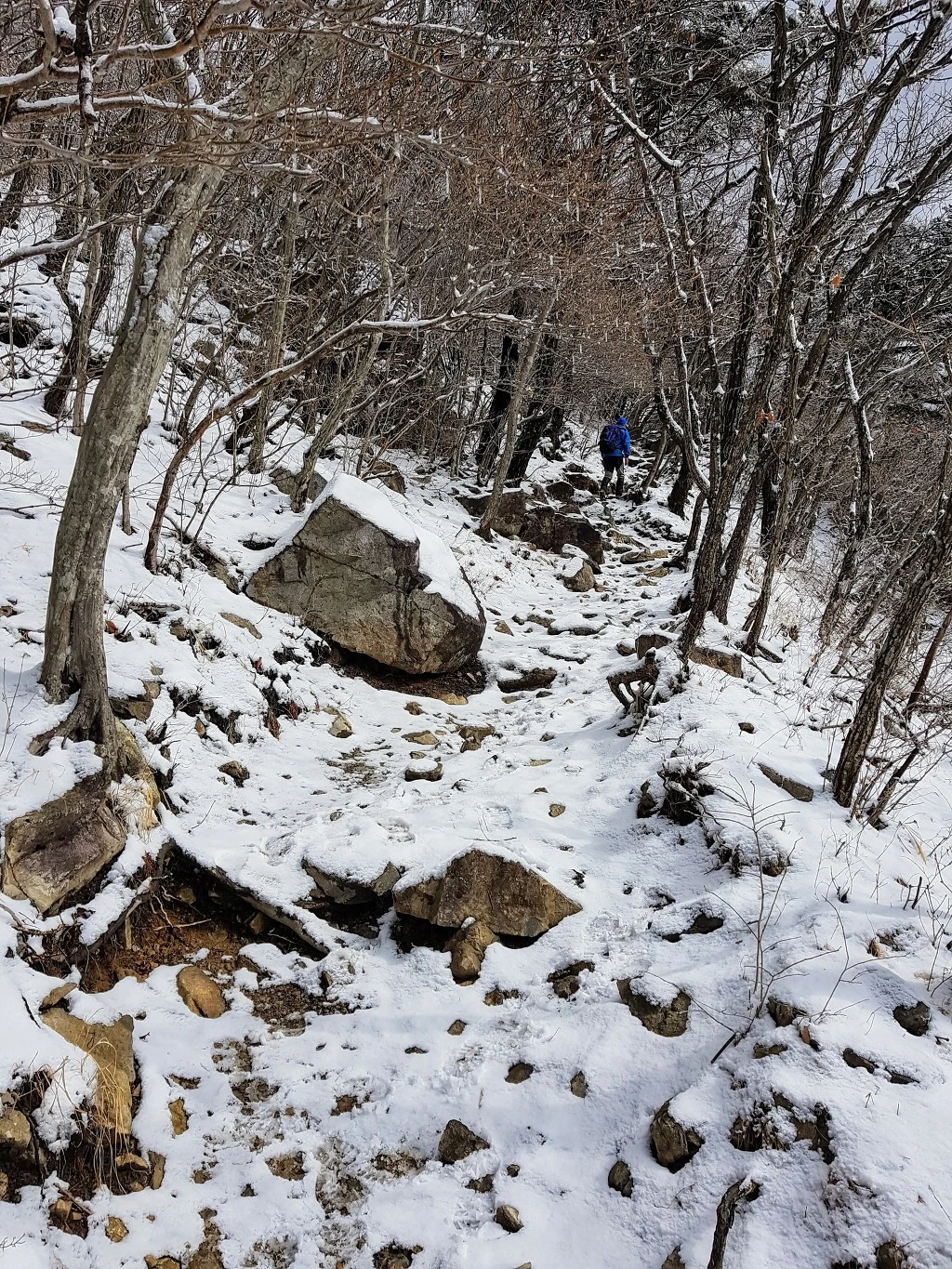 992C4D4F5AA509F20A2560