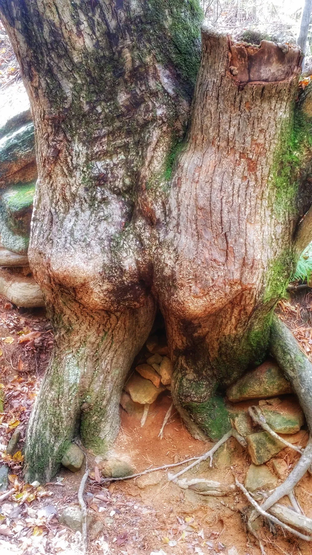 24127B3657FDEC600F4612