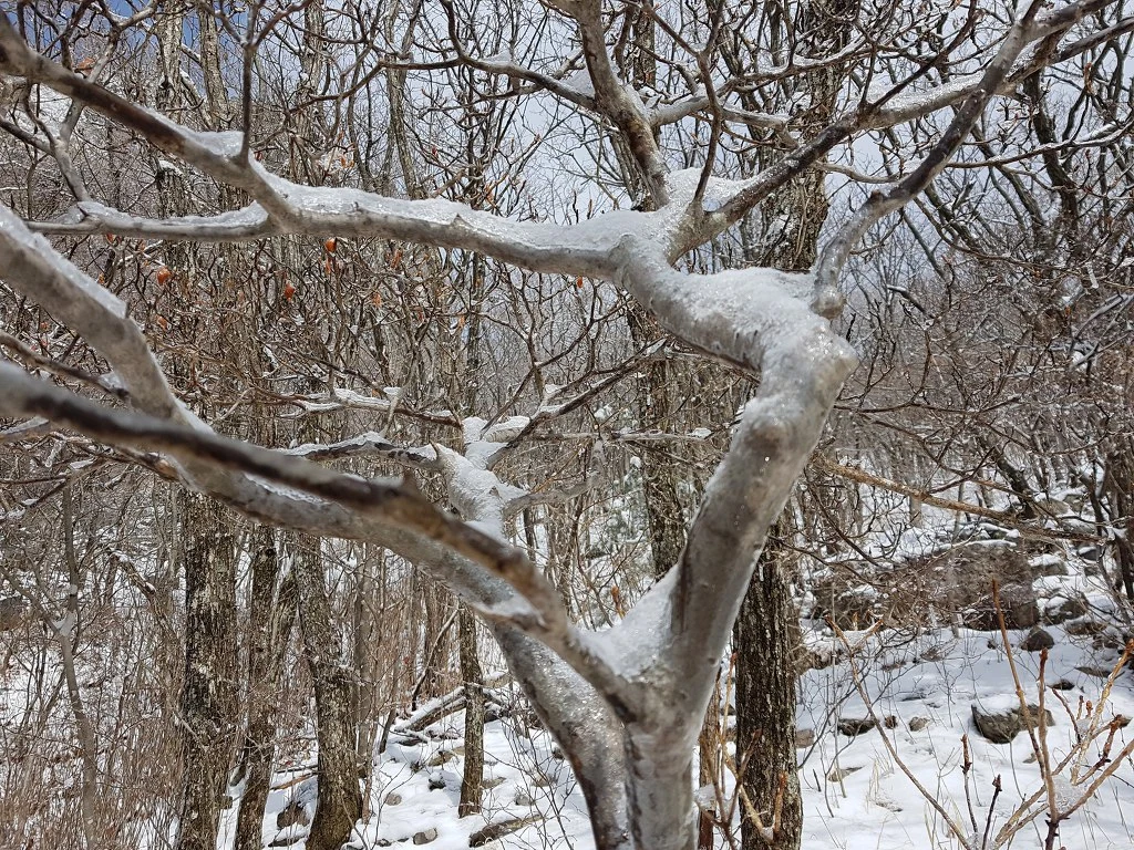 99A6A94F5AA509DF2464B9