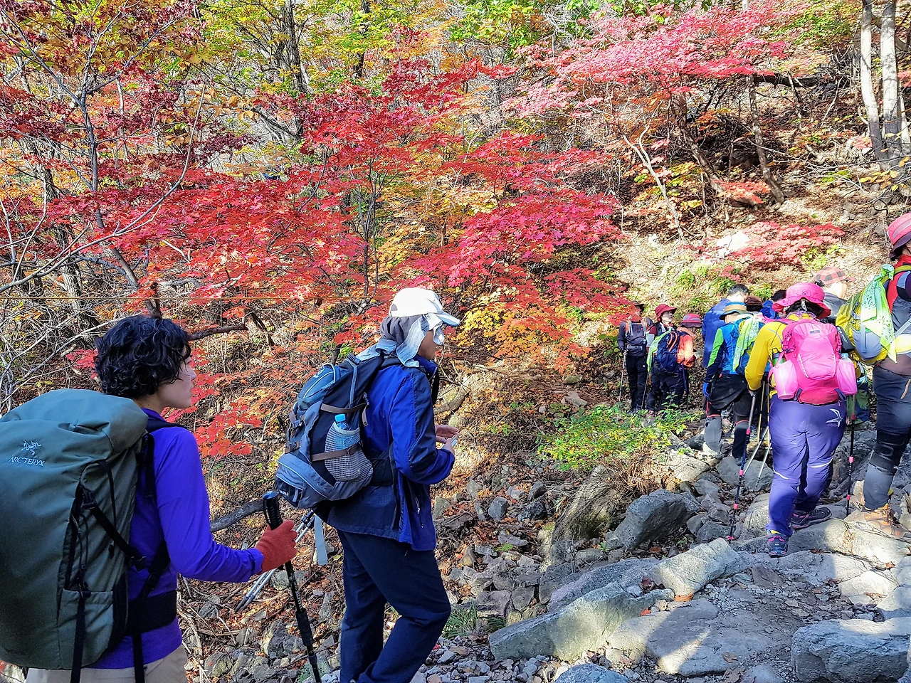 9910F83359E8CED5233637