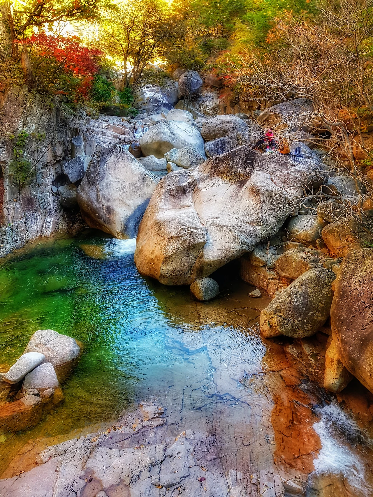 99241E3359E969FB36CC8B