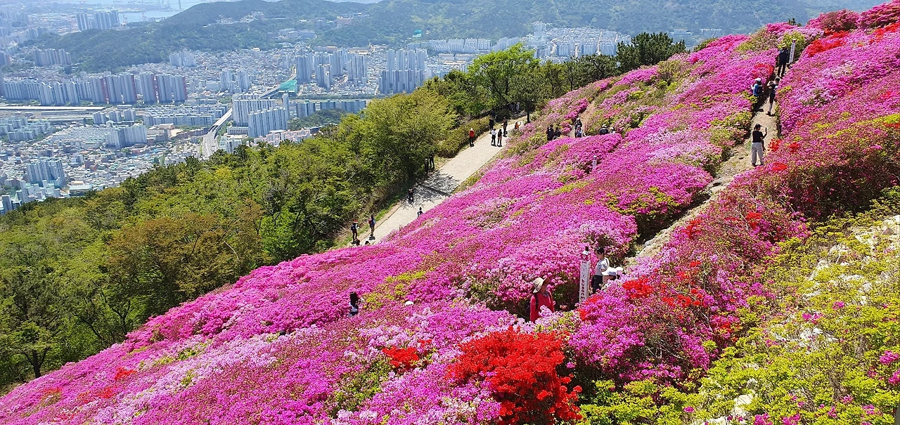 KakaoTalk_Photo_2025-04-26-20-43-35 010.jpeg