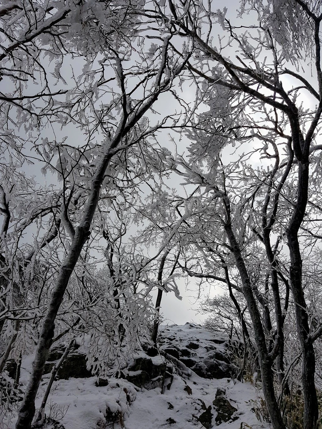 996E3A435AA50A230E4E57