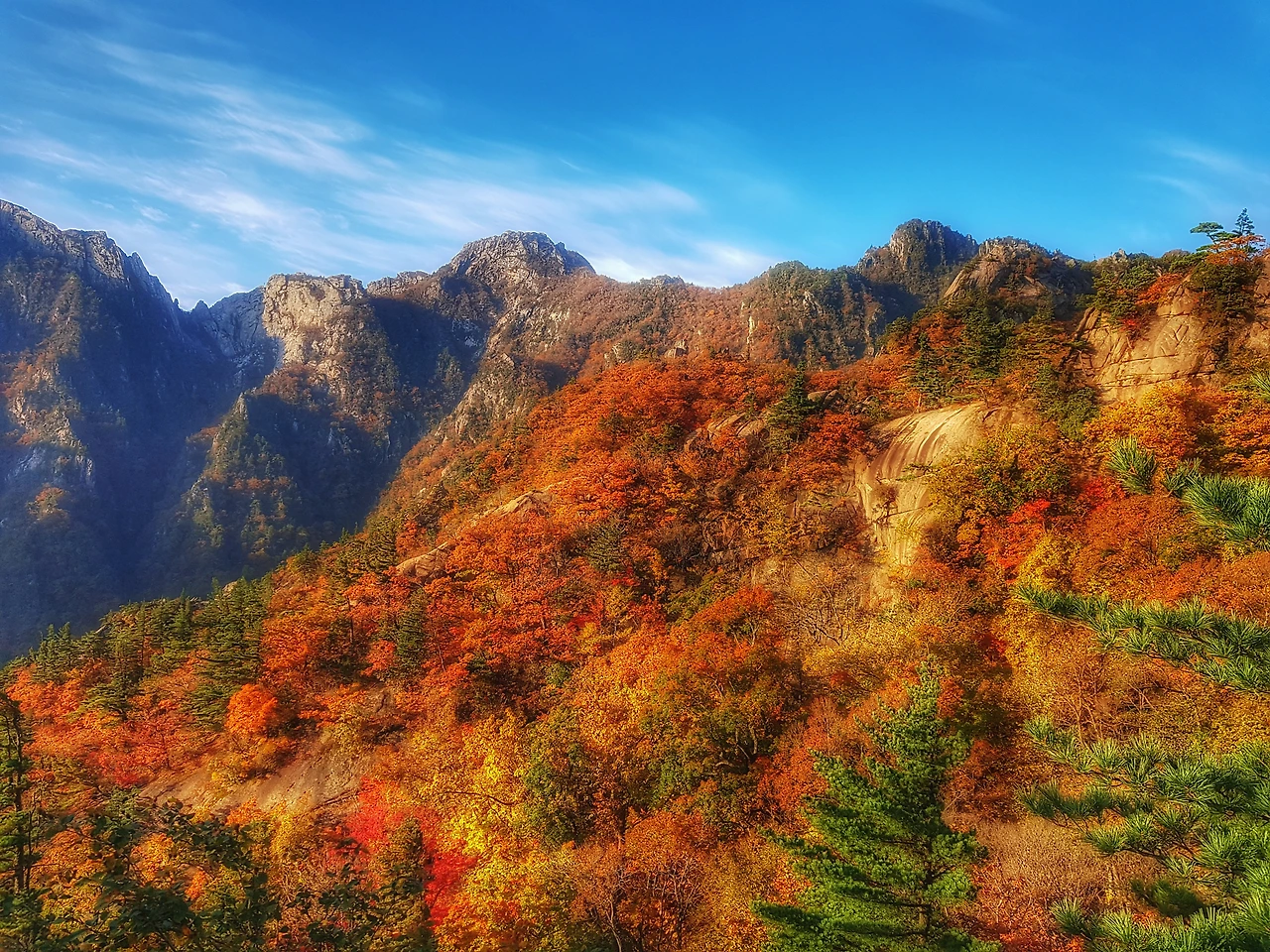 99360A3359E8BC3C04EE8D