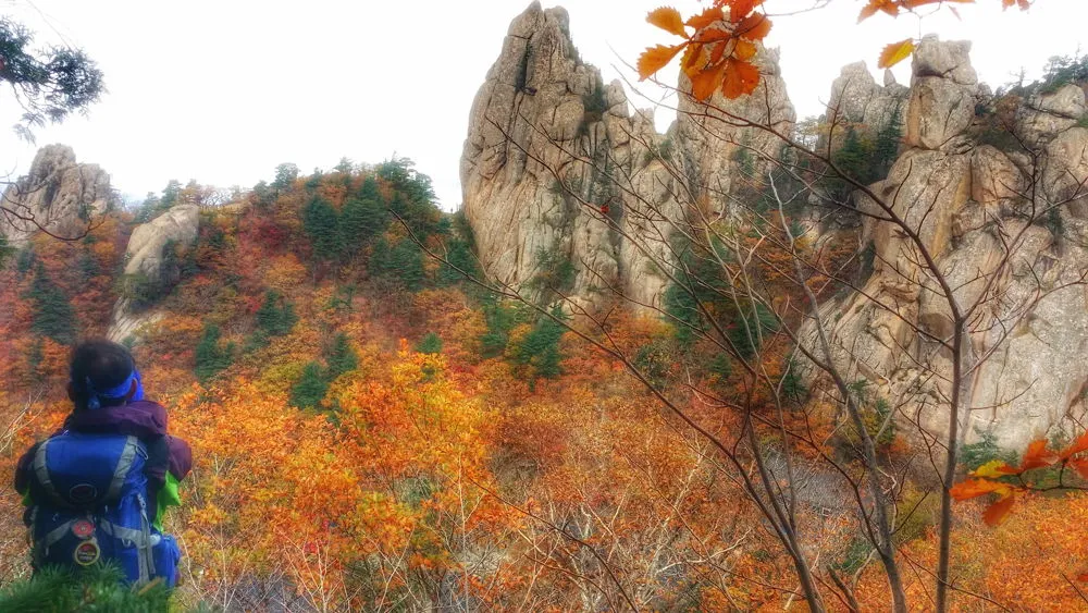 2616F73657FDEC380B1F51