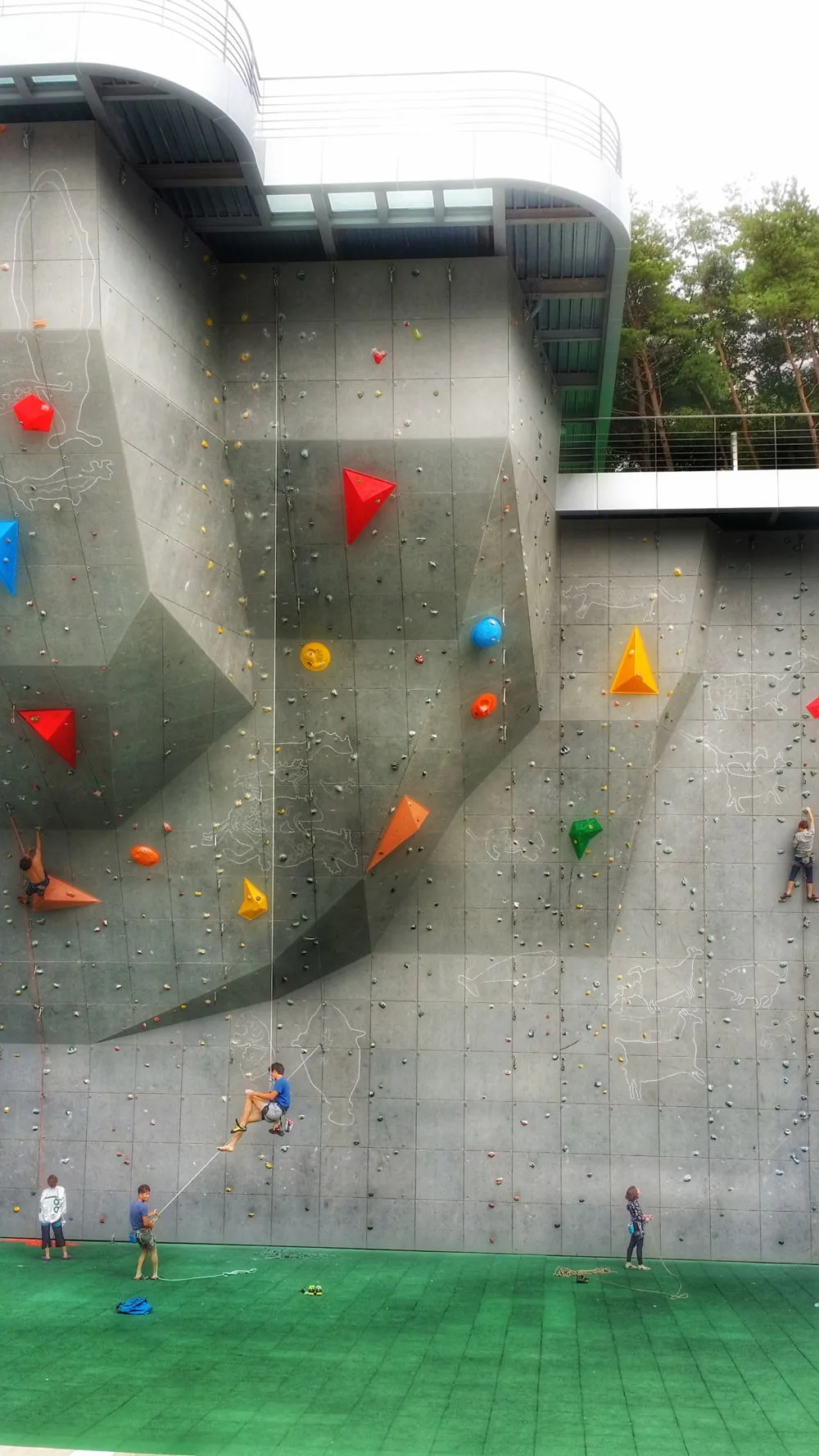 244C303C57D022C52EC4CC