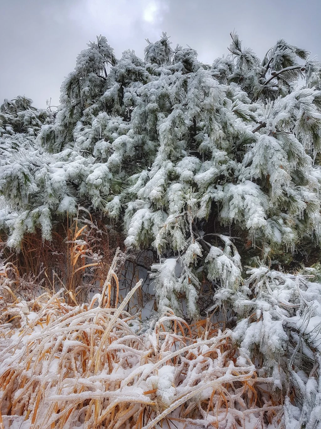 996B8D485AA50B8A096FBF