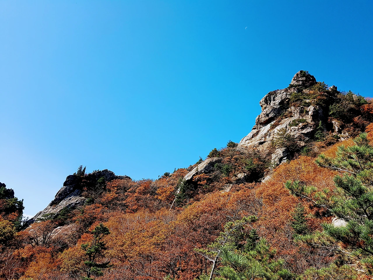 9981573359E94EC60BFF87