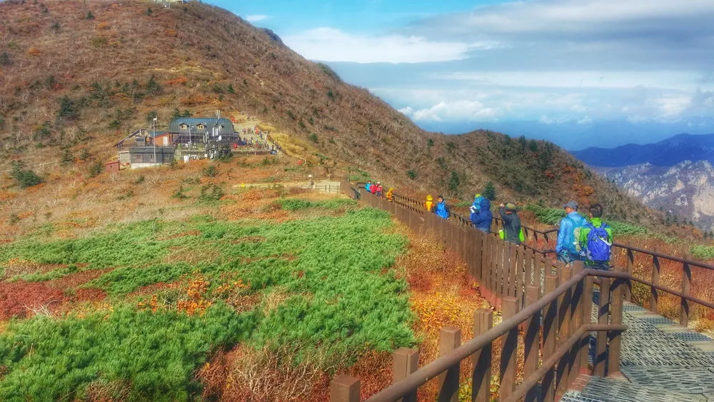 232BED4057FDA5D60C56A8