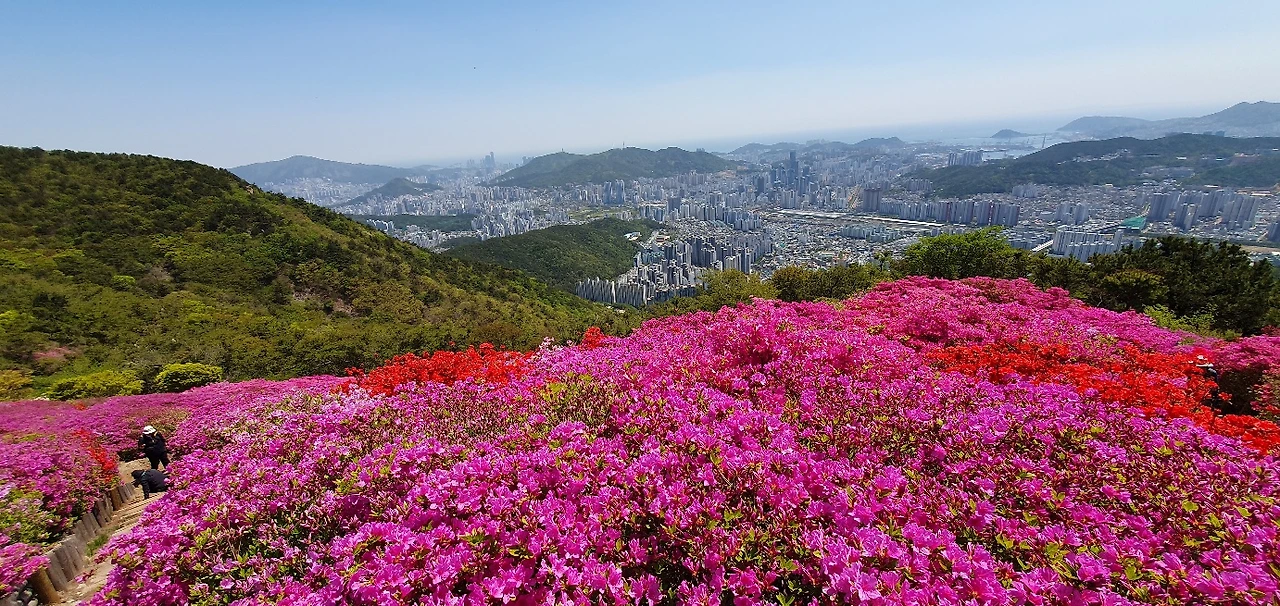 KakaoTalk_Photo_2025-04-26-20-43-36 015.jpeg