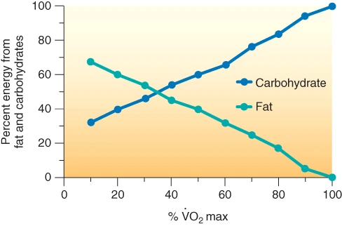 237A743E55786AB822DDA8