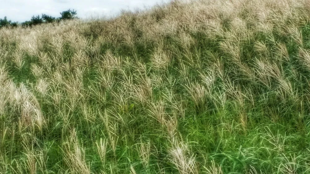 2171EE3C57D022B108A480