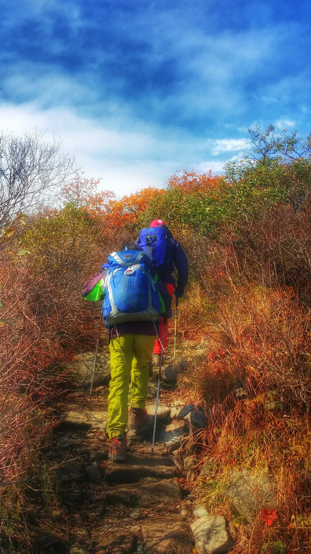 247C584057FDA5DA30AF2C