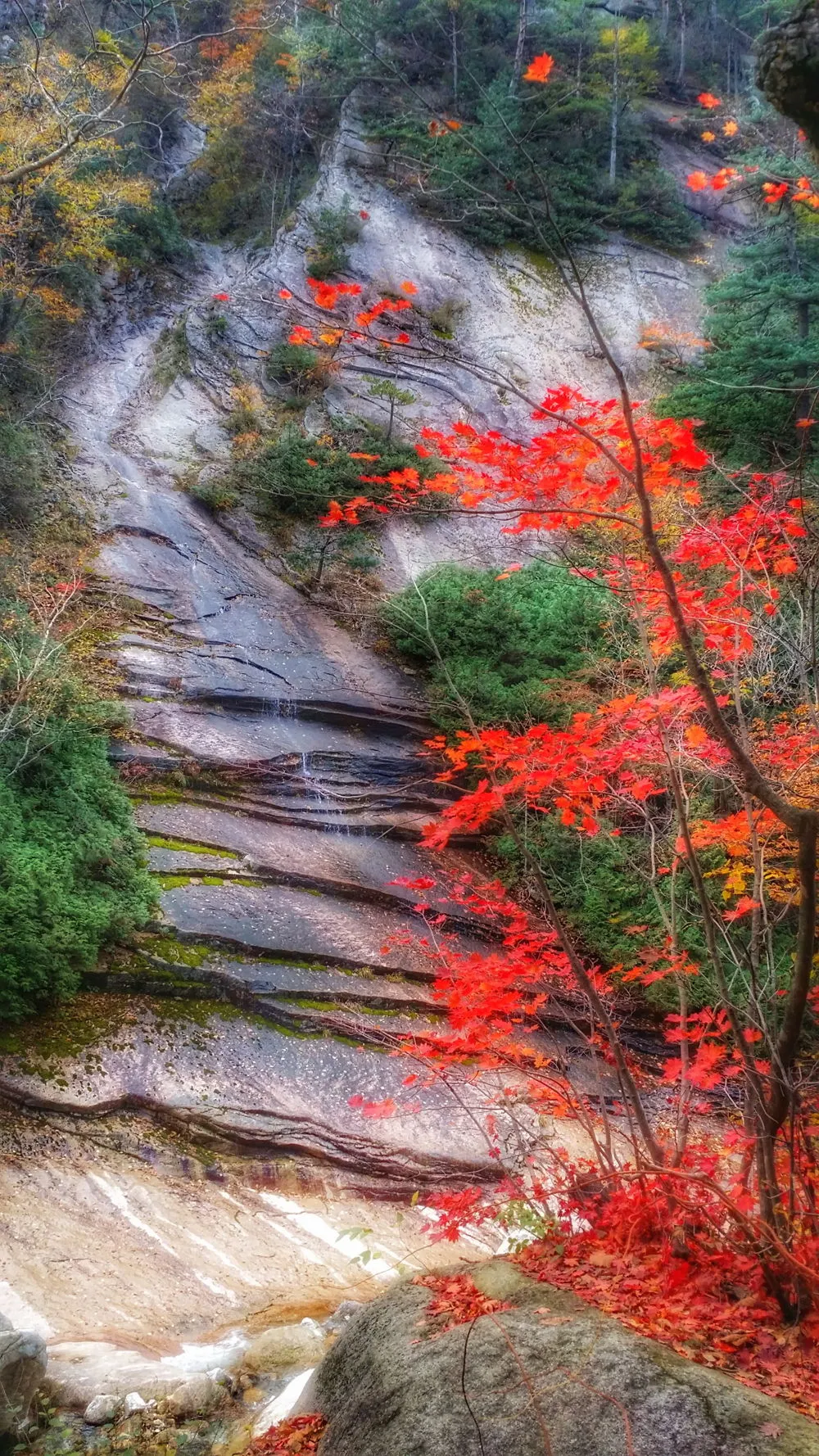 265A373657FDEC5E343C11