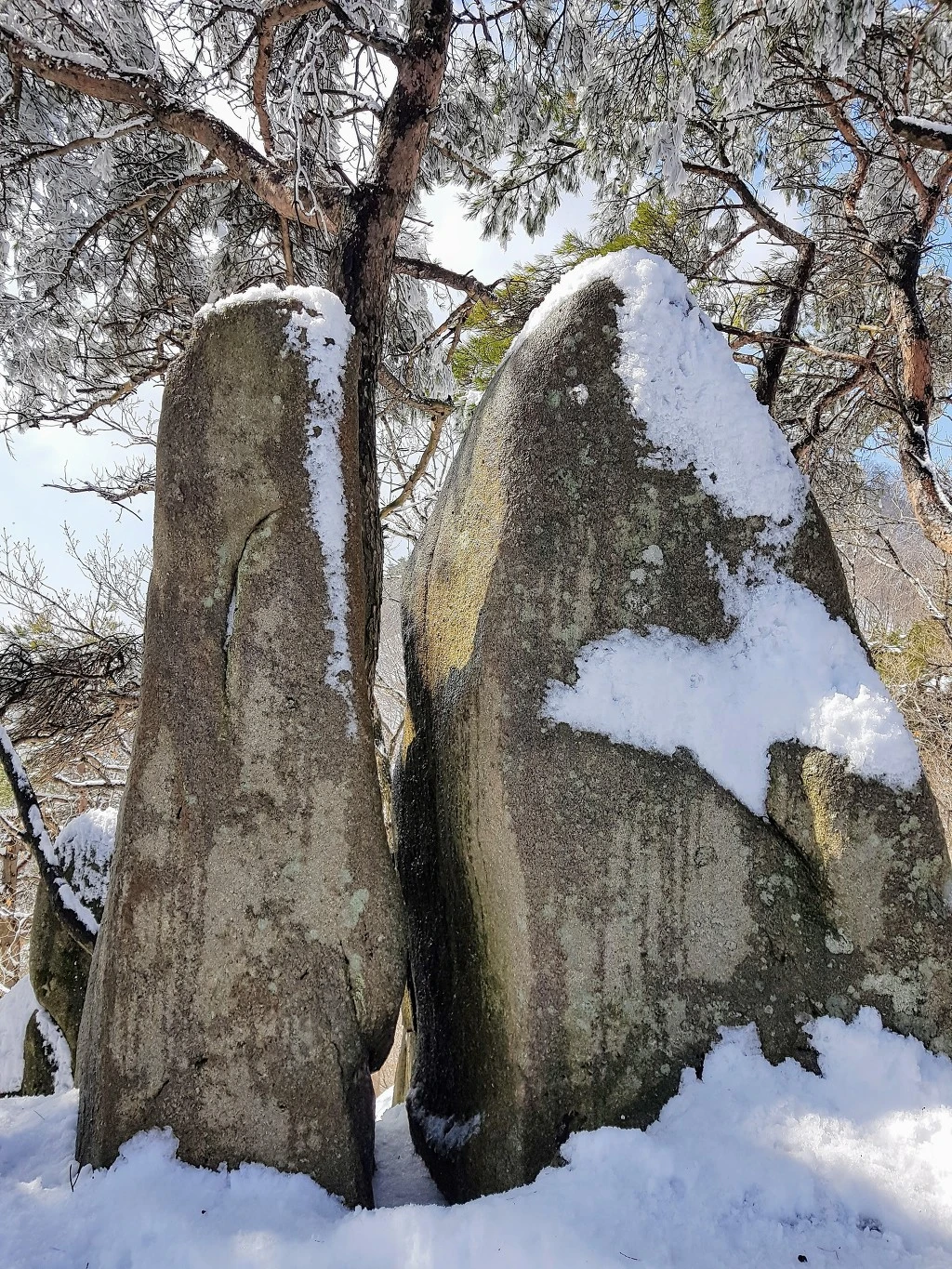 99AFF53B5AA5B43A2512BD