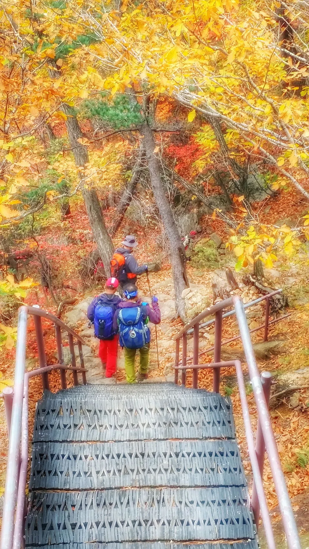 245DEB3657FDEC3E30392A