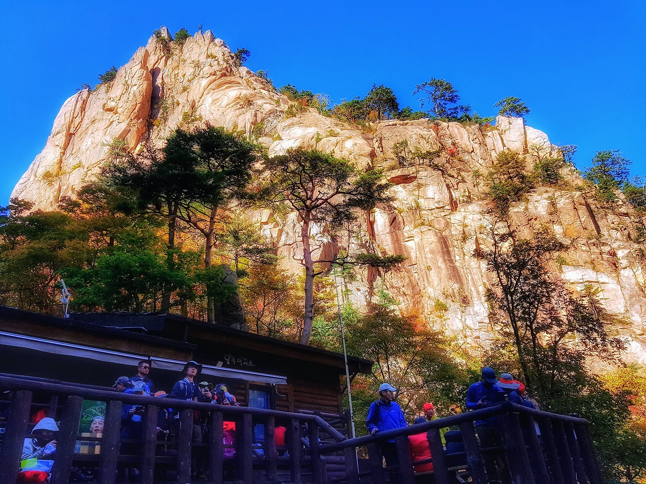 9969073359E9619C17A9AB