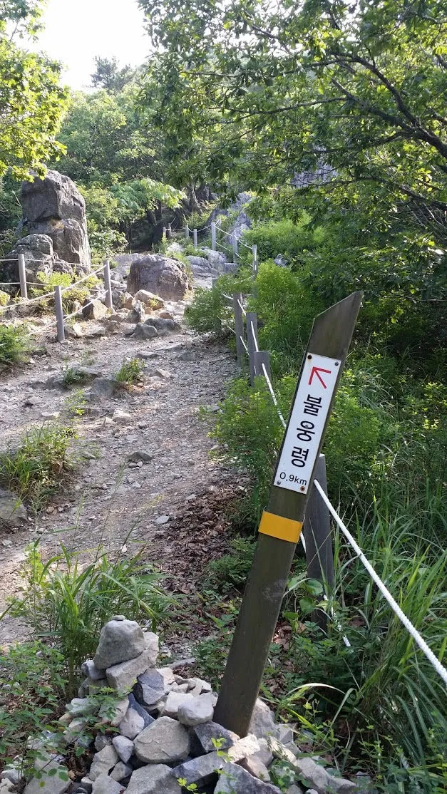 2120353D55C0C56305E93D