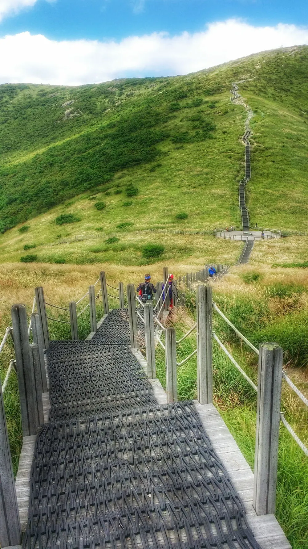 2469993C57D022A8100A74