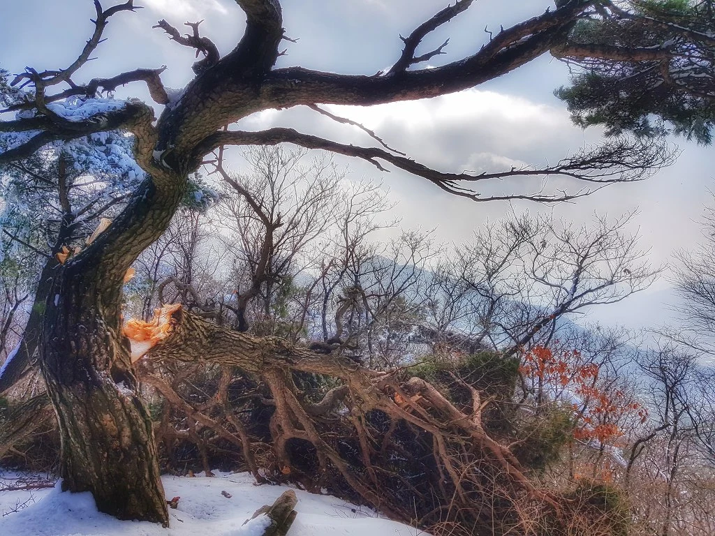 9901BF355AA5B4DF279304