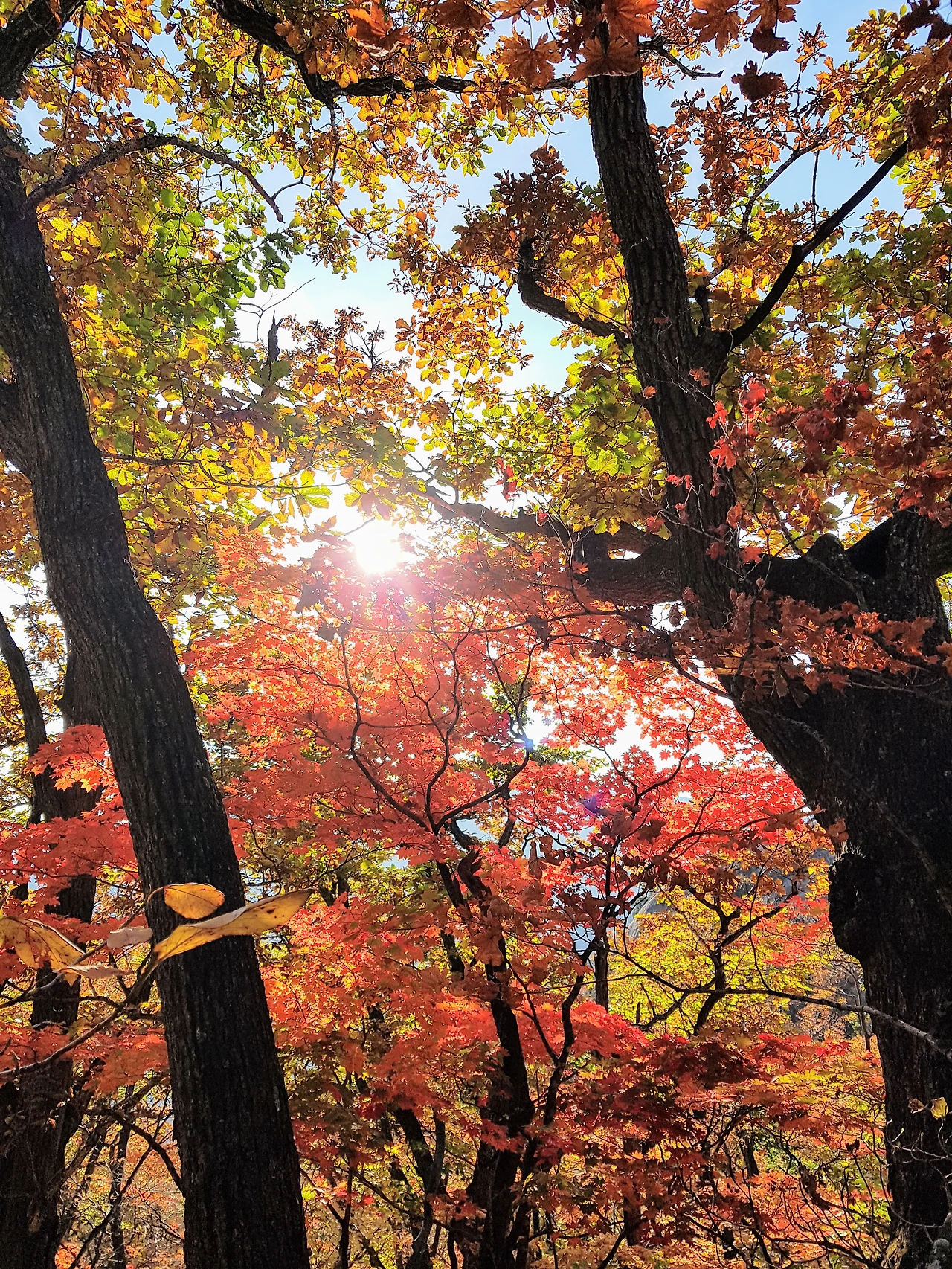 999FDD3359E93476320D70