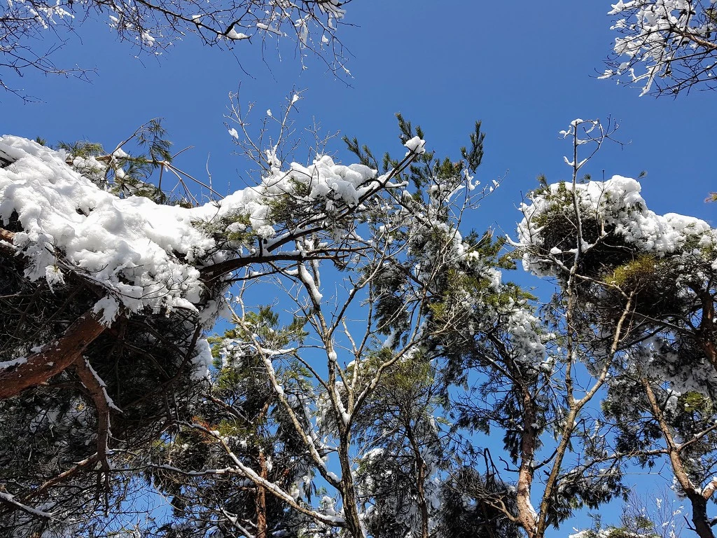 9992E83B5AA5B4121EA1A7