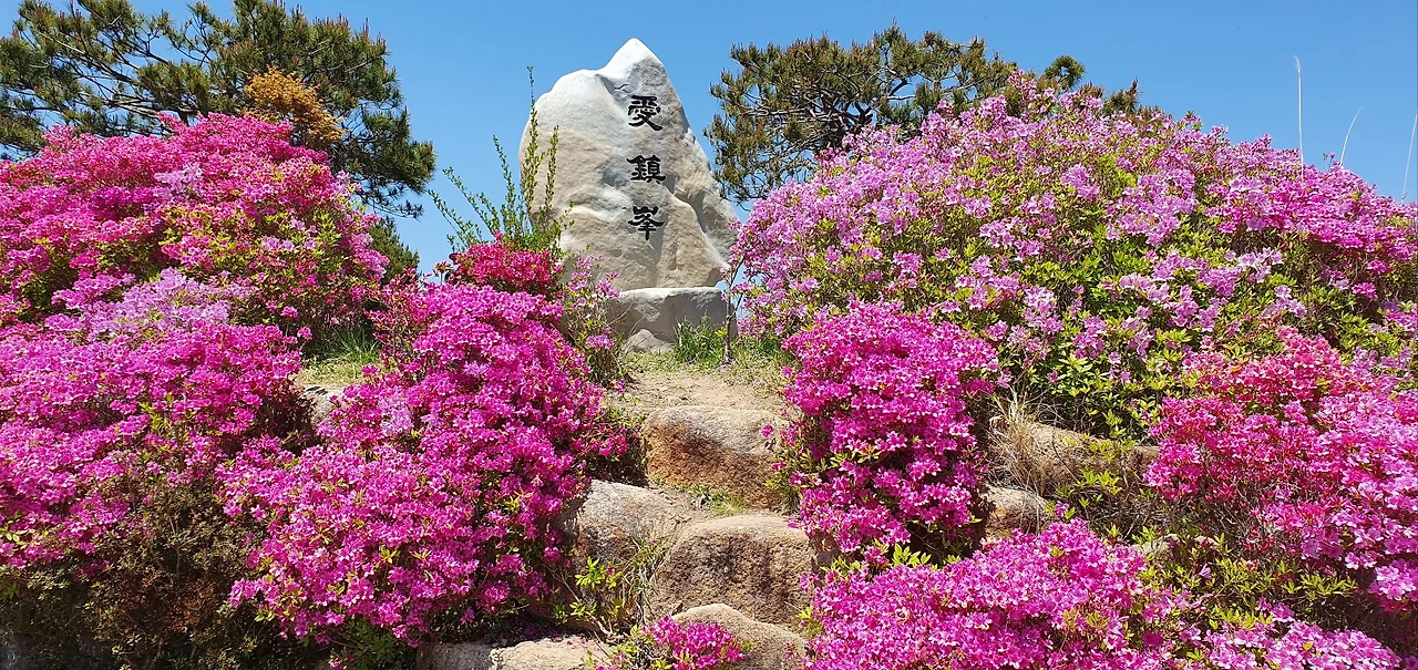 KakaoTalk_Photo_2025-04-26-20-43-35 011.jpeg