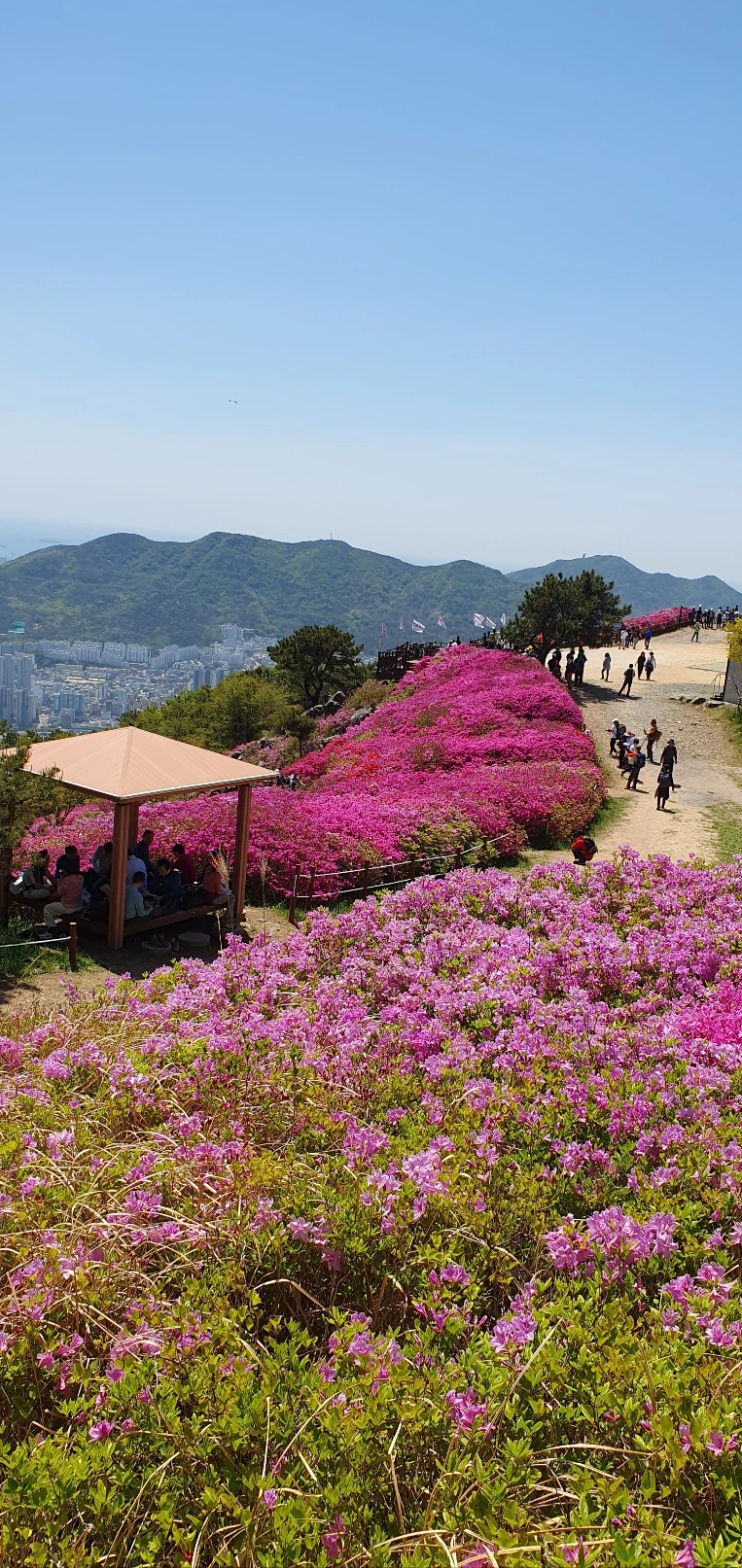 KakaoTalk_Photo_2025-04-26-20-43-31 003.jpeg