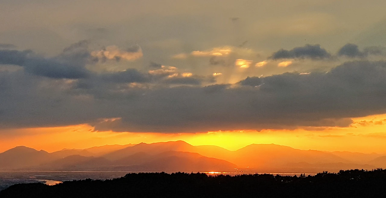 99FE1A355B95E4251E630B