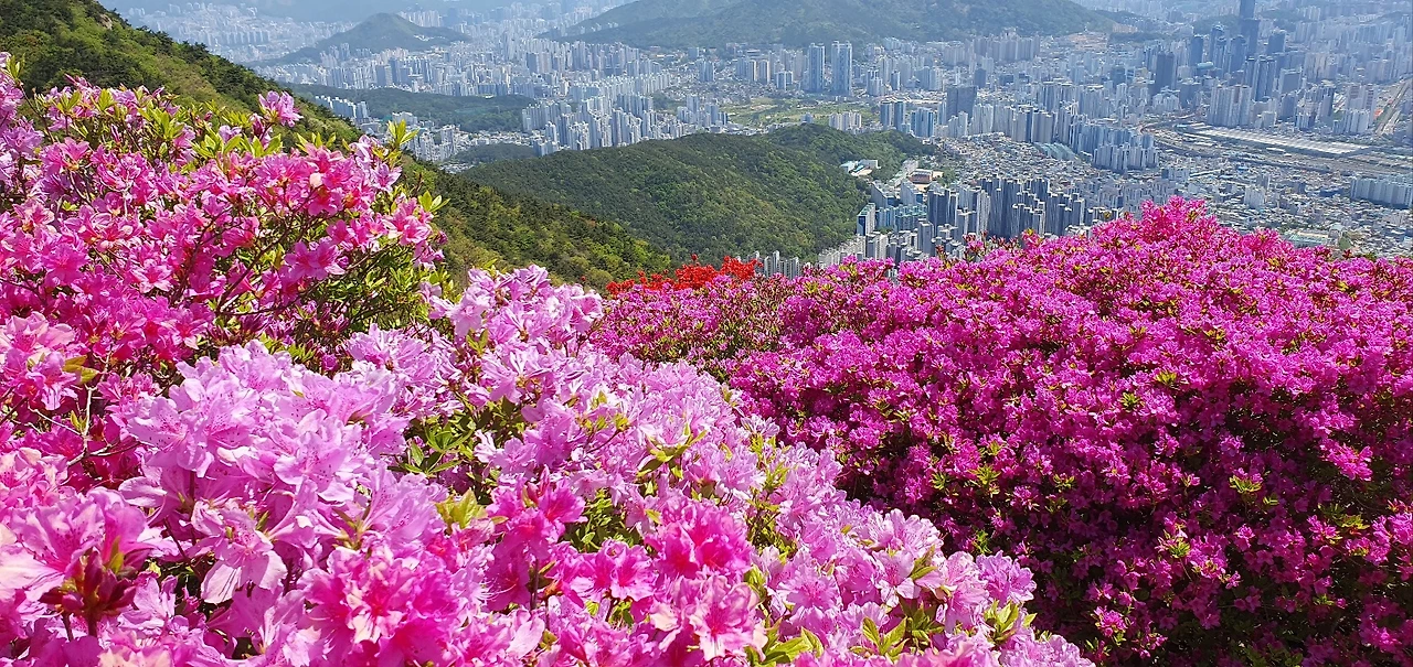 KakaoTalk_Photo_2025-04-26-20-43-35 012.jpeg