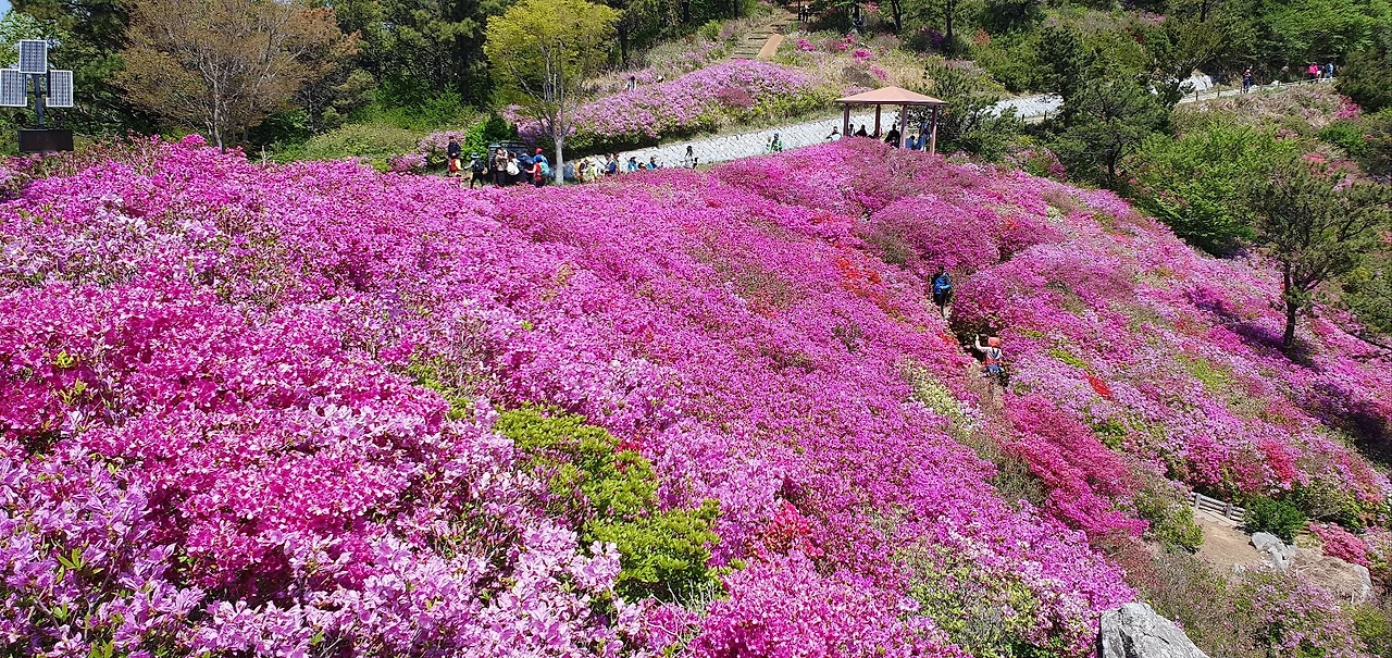 KakaoTalk_Photo_2025-04-26-20-43-34 009.jpeg