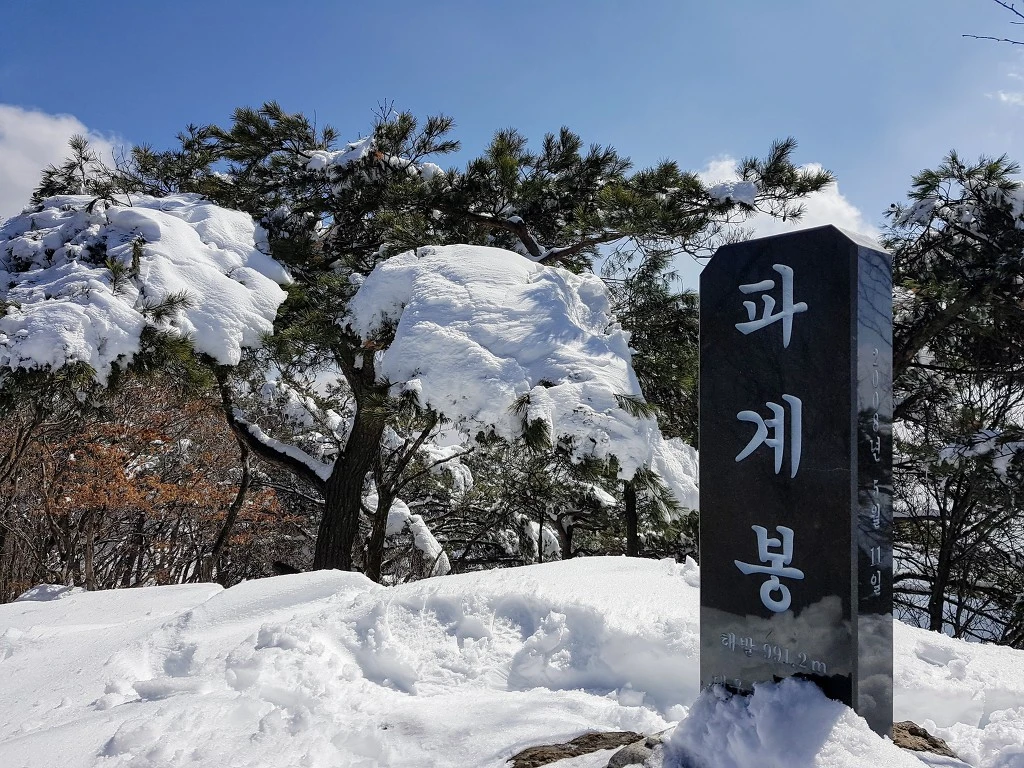 991E88355AA5B50B272483