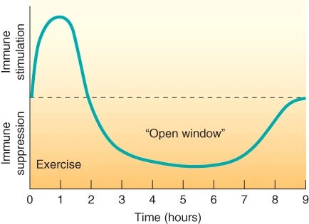 244AE43A55706CB9303C7F