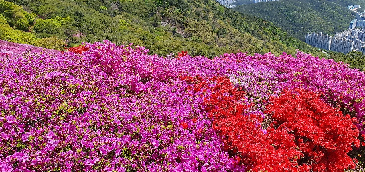 KakaoTalk_Photo_2025-04-26-20-43-36 014.jpeg