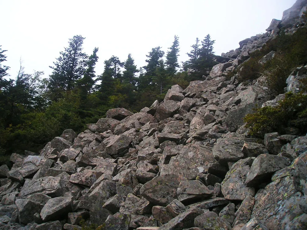 22518A3D55C0C5623B312A